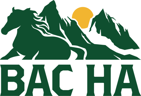 Bản đồ du lịch